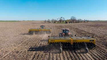 La rentabilidad en el campo sigue lejos de ser generalizada. La rentabilidad en el campo sigue lejos de ser generalizada.