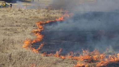 Pergamino espera un verano caluroso: nuevas recomendaciones, alertas y cuidados