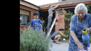 Acciones domésticas sencillas resultan instrumentos eficaces en la lucha contra el dengue.(ARCHIVO LA OPINION)