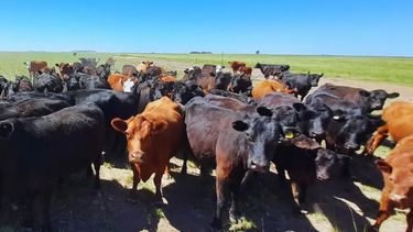 La evolución de los principales destinos y la capacidad de respuesta del sector serán claves para capitalizar este escenario favorable en los próximos meses. La evolución de los principales destinos y la capacidad de respuesta del sector serán claves para capitalizar este escenario favorable en los próximos meses.