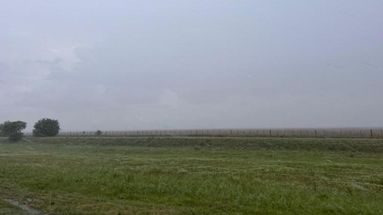 Las lluvias de esta semana serán importantes, no solo para consolidar la recuperación en la región núcleo, sino también para otras zonas de la región pampeana