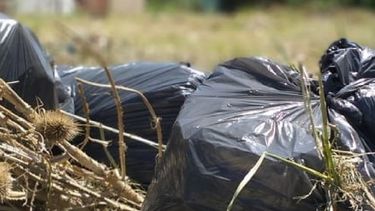 pergamino: permanentes trabajos sobre higiene urbana, clave en esta epoca de ano pergamino: permanentes trabajos sobre higiene urbana, clave en esta epoca de ano