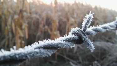 volvio el invierno: avanza un frente frio con riesgo de heladas que podrian afectar a los cultivos volvio el invierno: avanza un frente frio con riesgo de heladas que podrian afectar a los cultivos