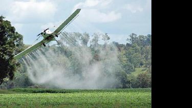 Agroquímicos: parte del debate sobre seguridad alimentaria. (LA OPINION)