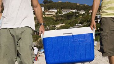 El principal desafío bromatológico en el verano argentino es el mantenimiento de la temperatura de los alimentos perecederos. Según las recomendaciones de organismos sanitarios como el SENASA y la ANMAT, las bacterias se multiplican con rapidez en la zona de peligro, situada entre los 5 y los 60 grados centígrados. El principal desafío bromatológico en el verano argentino es el mantenimiento de la temperatura de los alimentos perecederos. Según las recomendaciones de organismos sanitarios como el SENASA y la ANMAT, las bacterias se multiplican con rapidez en la zona de peligro, situada entre los 5 y los 60 grados centígrados.