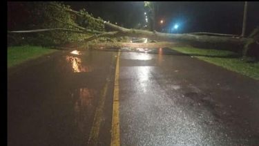 Las consecuencias del temporal no produjeron tantos daños en la ciudad. Las consecuencias del temporal no produjeron tantos daños en la ciudad.