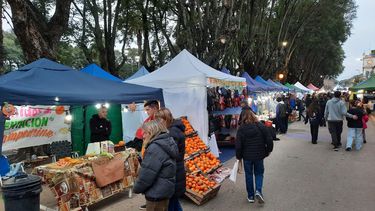 San Pedro y la fiesta de la naranja de ombligo San Pedro y la fiesta de la naranja de ombligo