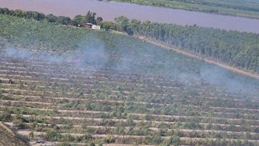 Un incendio forestal de importantes dimensiones se desató este domingo por la mañana en un campo lindero a Costa Pobre, en la intersección del Camino de la Costa y avenida San Martín, lo que motivó un amplio operativo de emergencia que se extendió durante más de nueve horas. Un incendio forestal de importantes dimensiones se desató este domingo por la mañana en un campo lindero a Costa Pobre, en la intersección del Camino de la Costa y avenida San Martín, lo que motivó un amplio operativo de emergencia que se extendió durante más de nueve horas.