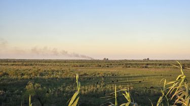 Según los registros del Museo Scasso, durante 2025 se vieron afectadas unas 32.600 hectáreas del área PIECAS DP Según los registros del Museo Scasso, durante 2025 se vieron afectadas unas 32.600 hectáreas del área PIECAS DP