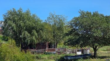 La preocupación por la inseguridad volvió a instalarse con fuerza entre los vecinos del barrio La Isoca, en Ramallo, luego de un violento episodio ocurrido en la zona del Paseo de los Olivos que incluyó disparos, intervención policial y momentos de extrema tensión a plena luz del día. La preocupación por la inseguridad volvió a instalarse con fuerza entre los vecinos del barrio La Isoca, en Ramallo, luego de un violento episodio ocurrido en la zona del Paseo de los Olivos que incluyó disparos, intervención policial y momentos de extrema tensión a plena luz del día.