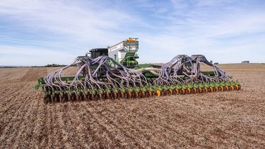 Genetica: A la hora de planificar la siembra, la elección de la semilla juega un papel fundamental. Genetica: A la hora de planificar la siembra, la elección de la semilla juega un papel fundamental.