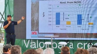 La gestión adecuada del agua no solo mejora el rendimiento de los cultivos, sino que también contribuye a la optimización de los recursos