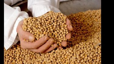 El Gobierno revaloriza las actividades agroindustriales.  (ARCHIVO LA OPINION)