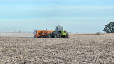 campana fina: ¿porque las heladas traen una oportunidad para el trigo? campana fina: ¿porque las heladas traen una oportunidad para el trigo?