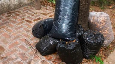 Recolección de residuos voluminosos: ¿sabés cuándo pasa el camión por tu barrio?