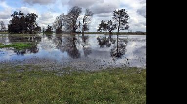 Aseguran que estamos atravesando una situación de lluvias inusuales para el invierno. (INTA INFORMA)