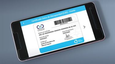 Algunas personas que cuentan con Certificado Unico de Discapacidad son citadas a  Caba o a La Plata.