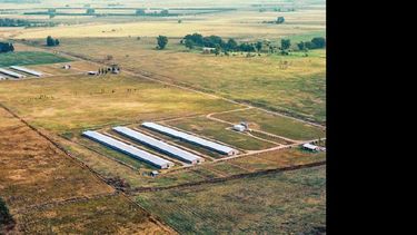 La empresa tiene un predio en la zona rural de Guerrico.  (WWW.QUERICOSA.COM.AR)