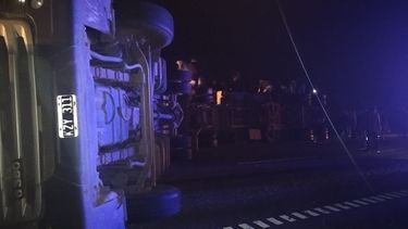 Al lugar del siniestro se acercaron personas que faenaron los animales que sobrevivieron al golpe por el vuelco del camión y el acoplado tipo jaula. Al lugar del siniestro se acercaron personas que faenaron los animales que sobrevivieron al golpe por el vuelco del camión y el acoplado tipo jaula.