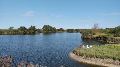 El Municipio de Baradero invita a la comunidad a participar de una propuesta única que combina naturaleza, sabores y aprendizaje: “Chocolate, Café y Naturaleza”, una jornada para disfrutar y conectarse con el entorno natural de la ciudad. El Municipio de Baradero invita a la comunidad a participar de una propuesta única que combina naturaleza, sabores y aprendizaje: “Chocolate, Café y Naturaleza”, una jornada para disfrutar y conectarse con el entorno natural de la ciudad.
