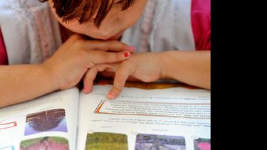 Los docentes son formadores de lectores. (ABC.GOV.AR)