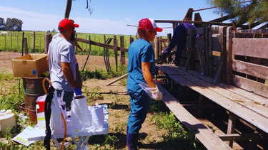 resistencia a los antiparasitarios resistencia a los antiparasitarios