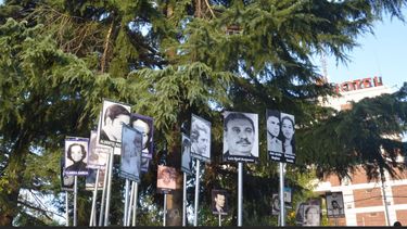 En el Arbol de la Memoria de plaza 9 de Julio tendrá lugar uno de los actos en memoria de los desaparecidos. En el Arbol de la Memoria de plaza 9 de Julio tendrá lugar uno de los actos en memoria de los desaparecidos.