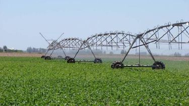 el riego se presenta como una inversion clave para la produccion el riego se presenta como una inversion clave para la produccion