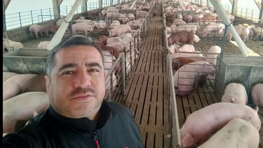 Carlos Octeda, asesor técnico en cerdos, con vasta experiencia. Carlos Octeda, asesor técnico en cerdos, con vasta experiencia.