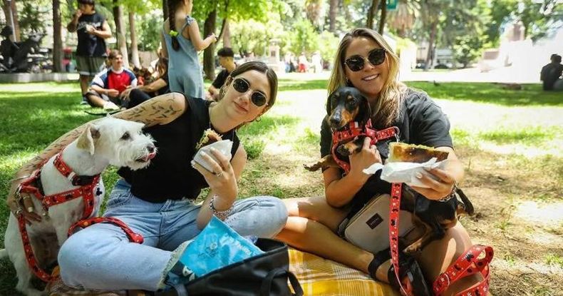 El concepto es claro: sándwiches deliciosos, un ambiente relajado y la posibilidad de disfrutar al aire libre con amigos, en pareja o en familia, lo que hace realmente único a este emprendimiento es la experiencia que ofrece.