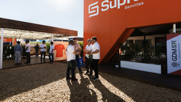 Más allá de la genética, desde la SUPRA remarcaron que el vínculo con el productor es uno de los pilares de su estrategia. Más allá de la genética, desde la SUPRA remarcaron que el vínculo con el productor es uno de los pilares de su estrategia.