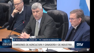 Ricardo Buryaile preside la Comisión de Agricultura. Ricardo Buryaile preside la Comisión de Agricultura.