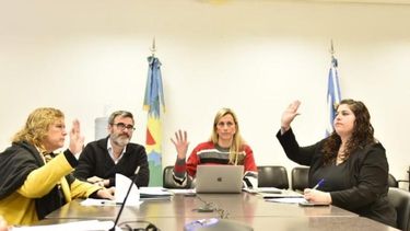 La comisión es presidida por la pergaminense María Paula Bustos. La comisión es presidida por la pergaminense María Paula Bustos.