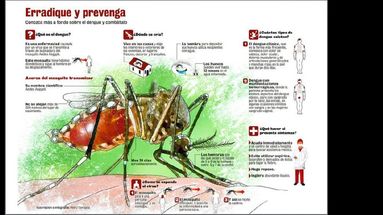 Medidas sencillas colaboran para evitar el dengue. (ARCHIVO)