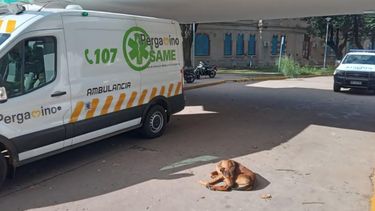 En la guardia pediátrica del Hospital San José asistieron a la bebé para practicarle curaciones en la lesión superficial en el brazo izquierdo.