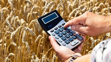 Trigo: En general los resultados productivos obtenidos fueron muy buenos para los cultivos de invierno. Trigo: En general los resultados productivos obtenidos fueron muy buenos para los cultivos de invierno.