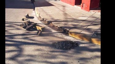 La reparación de veredas es una de las tareas que lleva adelante personal de Obras Públicas en estas semanas. (LA OPINION)