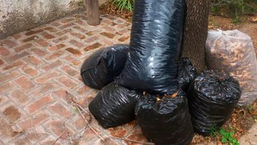 La Municipalidad de Pergamino informa el cronograma del servicio gratuito de recolección de residuos voluminosos correspondiente al mes de marzo.&nbsp;