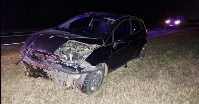 La conductora del automóvil Ford no pudo evitar la colisión con el ejemplar de un criadero porcino que se cruzó imprevistamente en horario nocturno.