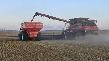 En una decisión que apunta a facilitar el acceso a tecnología y equipamiento a menor costo. En una decisión que apunta a facilitar el acceso a tecnología y equipamiento a menor costo.